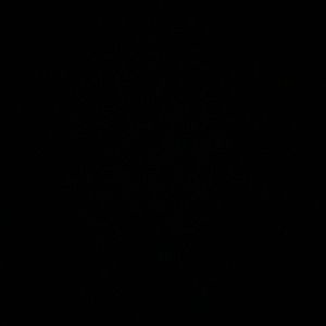 Meet your Posher, Eloisa